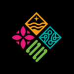 The Cause Collective logo, featuring four colourful geometric symbols arranged in a diamond formation: pink petal shapes, orange waves, turquoise koru-style patterns and green diagonal bars, on a black background.